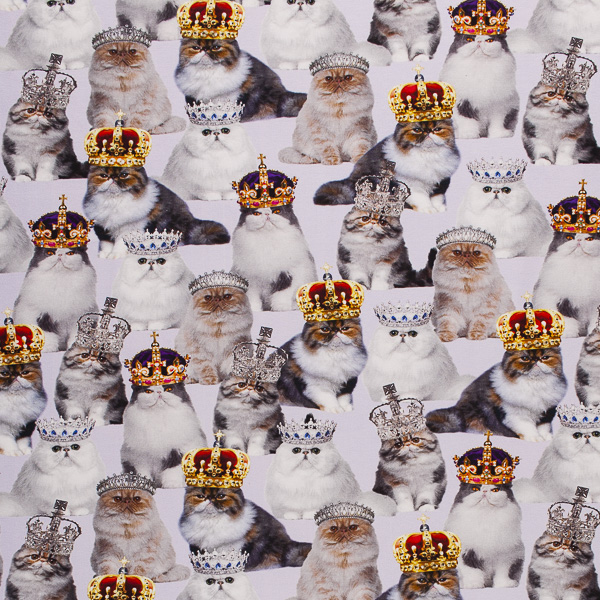 Ткань Трикотаж - Кошки QT1 1